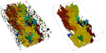 Topology-based analysis and visualization of multi-fields data