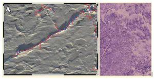 Efficient terrain analysis and processing on a decomposition-based data structure